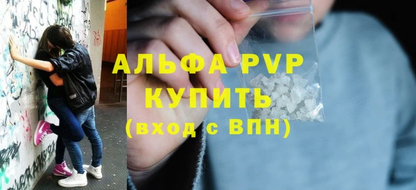 СК Сафоново