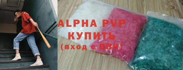 СК Сафоново