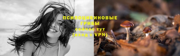 spice Рославль