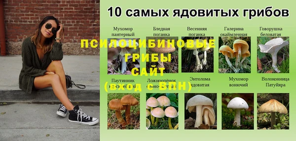 гашиш Сатка