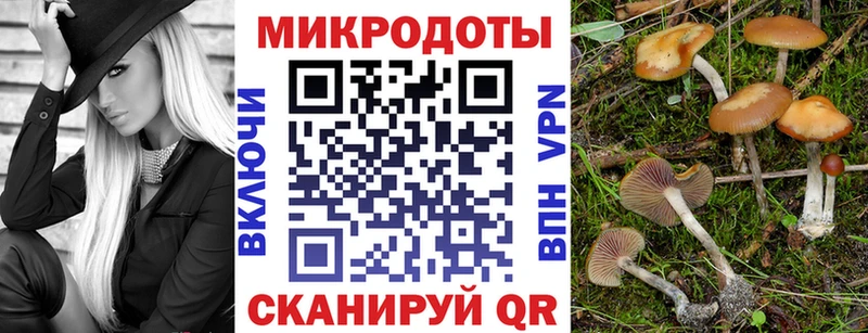 Галлюциногенные грибы Psilocybe  Сухиничи 