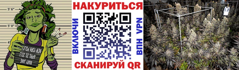 Марихуана индика  Сухиничи 
